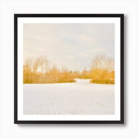 Yellow trees in the snow park Art Print