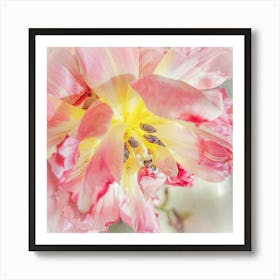 Close-Up Tulip 2 Botanical Photography Art Print