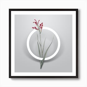 Vintage Gladiolus Cunonius Minimalist Botanical Geometric Circle on Soft Gray n.0015 Art Print