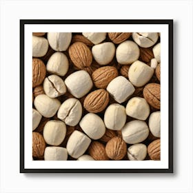 Nuts And Walnuts 1 Art Print