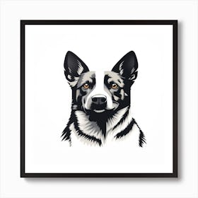 Australian Shepherd Dog4 Art Print