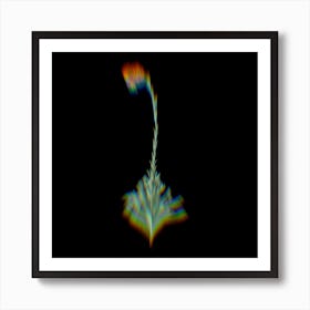 Prism Shift Scarlet Martagon Lily Botanical Illustration on Black n.0087 Art Print