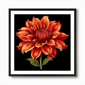 Dahlia 13 Art Print