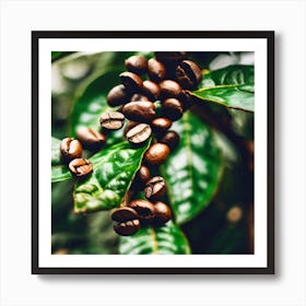 Coffee Beans On The Tree 5 Art Print