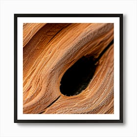 Close Up Of A Tree Trunk Art Print