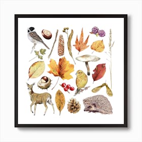 Autumn Nature Brown Square Poster