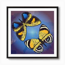 A Couple Of Mechanical Callicore Aegina Butterflies On A Blue Background Art Print