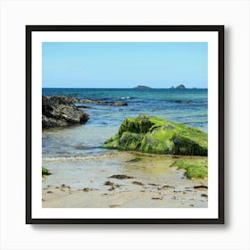 Washed Ashore Art Print