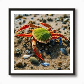 Red Crab On The Beach Art Print