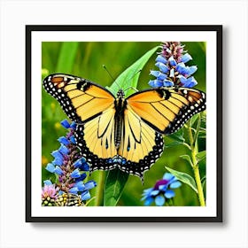 Butterflies Insect Lepidoptera Wings Antenna Colorful Flutter Nectar Pollen Metamorphosis (27) Art Print