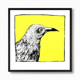 Yellow Thrasher Square Art Print