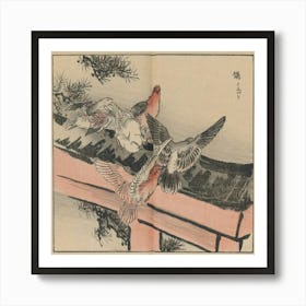 Doves On A Bridge Art Print