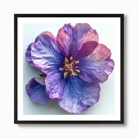 Hibiscus Flower 18 Art Print