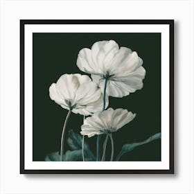 White Flowers Art Print