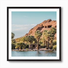 Phoenix Desert Park Art Print