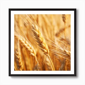 Golden Wheat In The Field Affiche