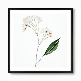 plant minimalist 5 Art Print