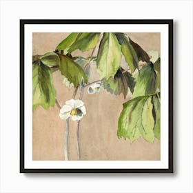 Lily Of The Valley 8 Art Print