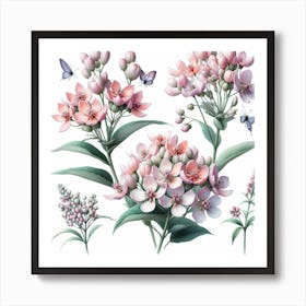 Flowers of Milkweed Art Print