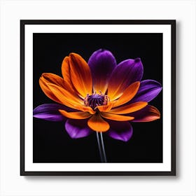 Purple Dahlia Flower Art Print