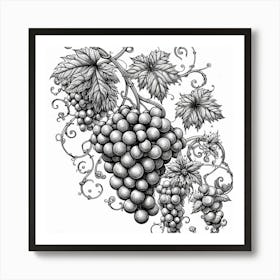 Line Art grapes and vines 1 Art Print