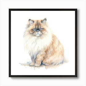 Persian Himalayan Cat Portrait Art Print