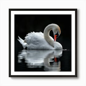 Black Water Swan Art Print