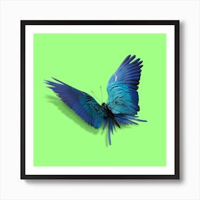 Parrot Butterfly Square Art Print