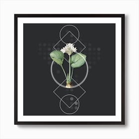 Vintage Cardwell Lily Botanical with Geometric Line Motif and Dot Pattern n.0175 Art Print
