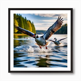 Geese Take Off Above The Surface Of The Water In A Lake Creating Water Geometric Shapes With Its Le Art Print