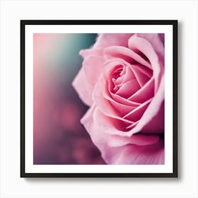 Pink Rose 2 Art Print