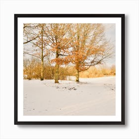 Yellow trees in a snow park Art Print