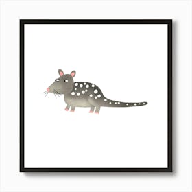 Quoll Art Print