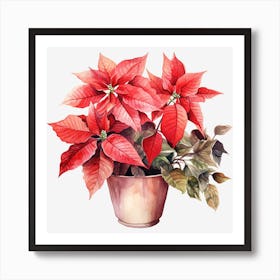 Poinsettia 19 Art Print