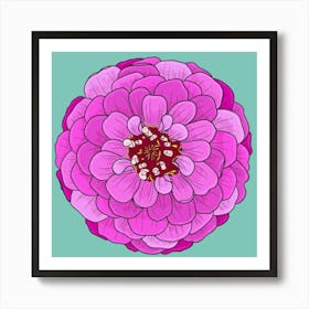 Dahlia in Bloom Art Print