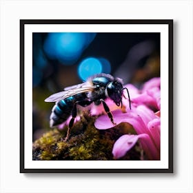 up close sky blue bee on a black rock in a mystical fairytale forest, mountain dew, fantasy, mystical forest, fairytale, beautiful, flower, purple pink and blue tones, dark yet enticing, Nikon Z8 Art Print