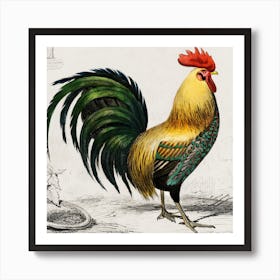 A Rooster Art Print