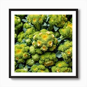 Green Broccoli At The Market Art Print