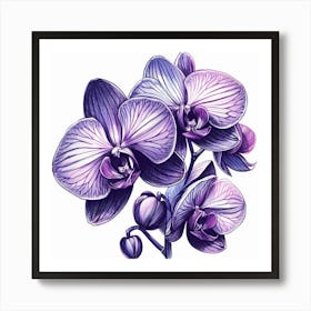 Orchid flower 1 Art Print