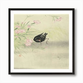 Bird In The Grass Art Print