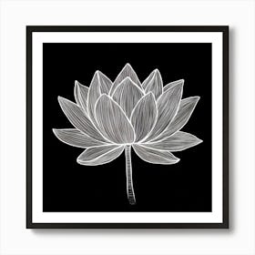 Lotus Flower Art Print