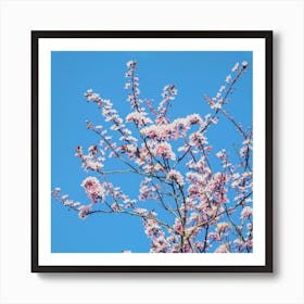 Spring Blossom Square Art Print