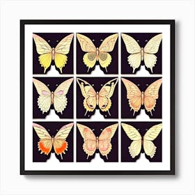 Butterfly Set 12 Art Print