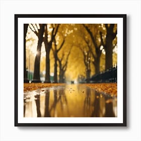 Avenue of Golden Sycamore Trees after the Rain Art Print