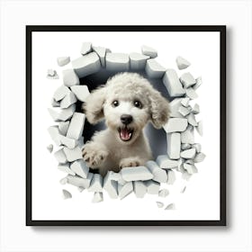 Poodle Art Print