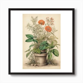 Orange Flowers In A Pot Art Print