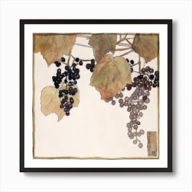 Frost Grape (1915), Hannah Borger Overbeck Art Print