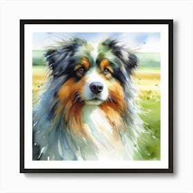 Australian Shepherd Art Print