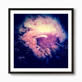 Anemone Art Print