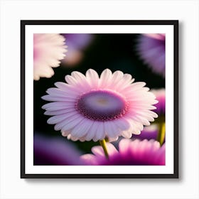 Pink Daisy Art Print